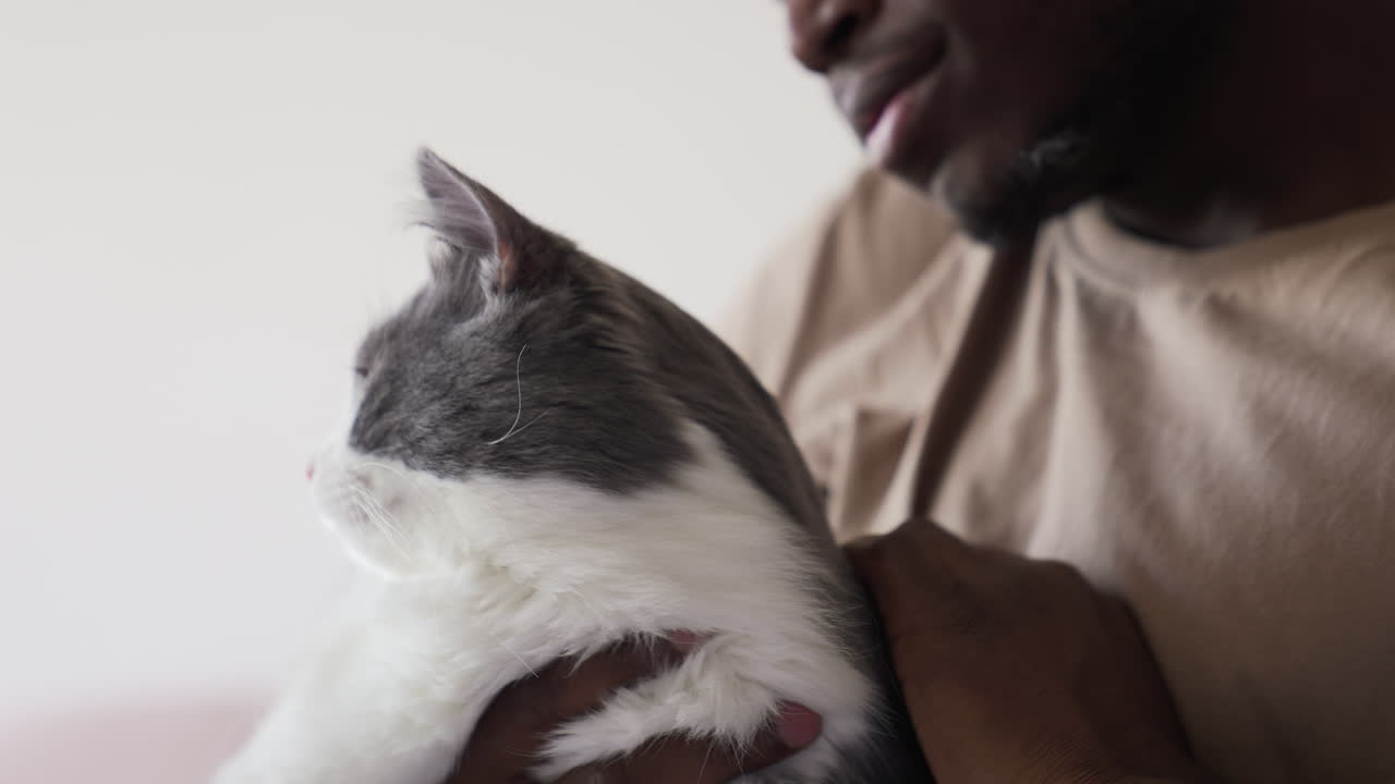 Pet owner with his cat