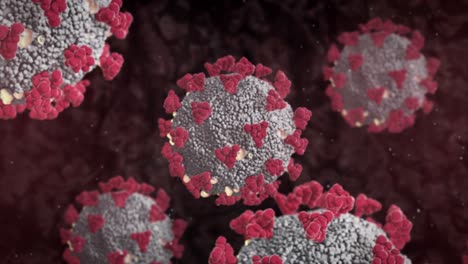 toma animada de virones de coronavirus en el cuerpo humano visto a través de un microscopio