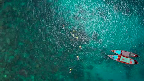 泰國科塔 (koh tao) 珊瑚礁上游泳的潛水員