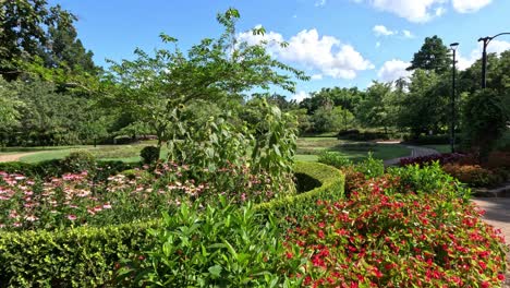 a serene walk along a flower-lined park pathway.