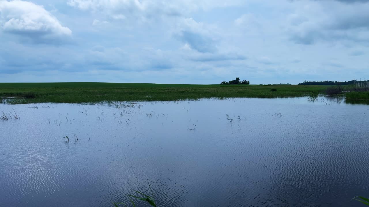 A Serene Landscape of Water and Sky: Capturing the Calmness of a Vast Wetland with Green Horizons Under a Beautifully Cloudy Skies