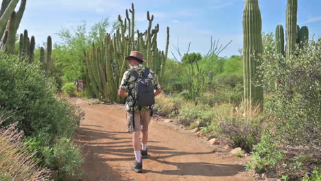 vista detrás de un hombre con sombrero marrón caminando por el jardín del desierto en arizona