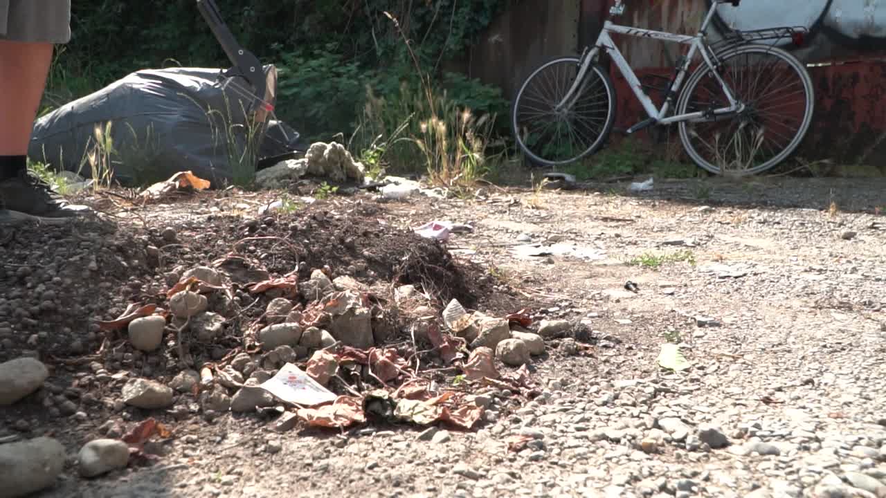 쓰레기 수거기로 쓰레기를 수집하는 십대