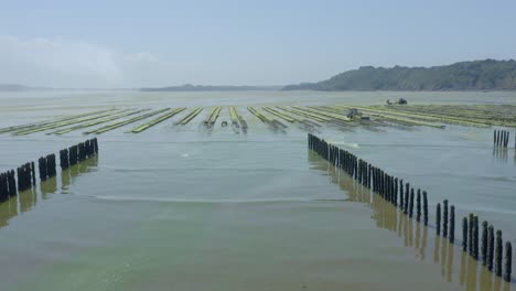 rows of oyster baskets at the oyster farm at north britanny near cap frehel in france