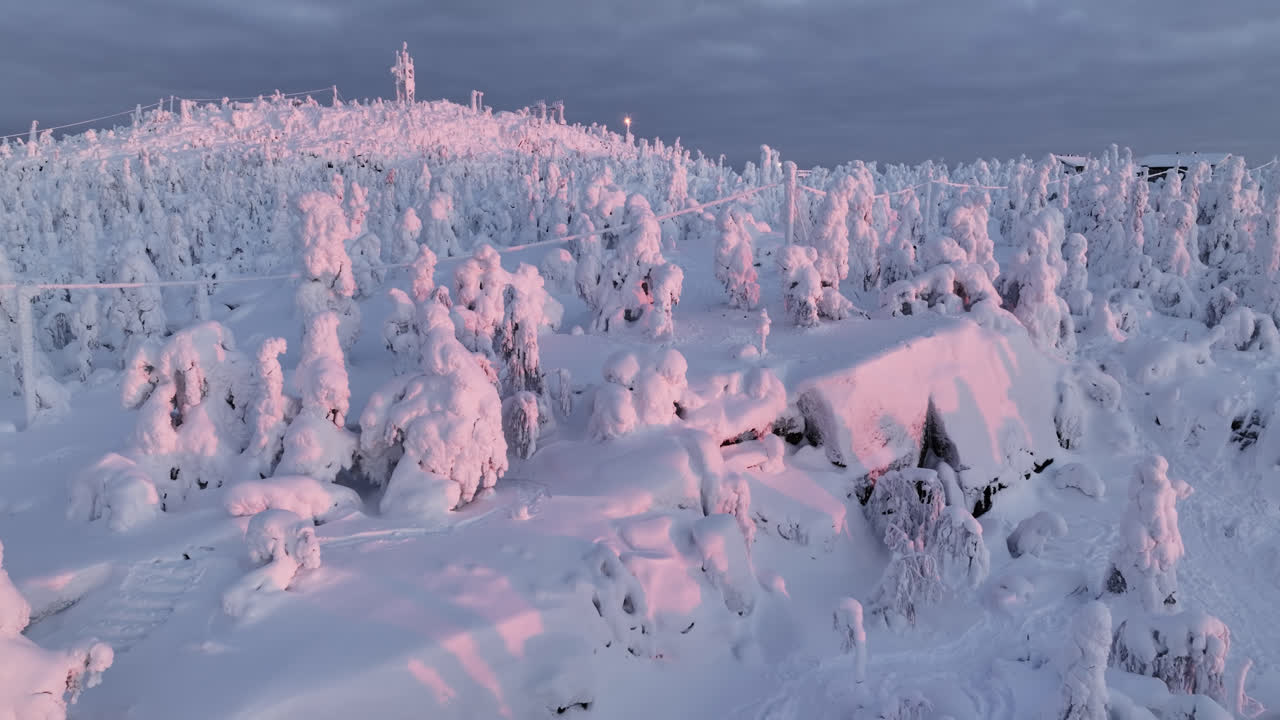 Ilmakuva lumipeitteisistä puista Iso-Syötteen tunturilla, auringonnousu Suomessa