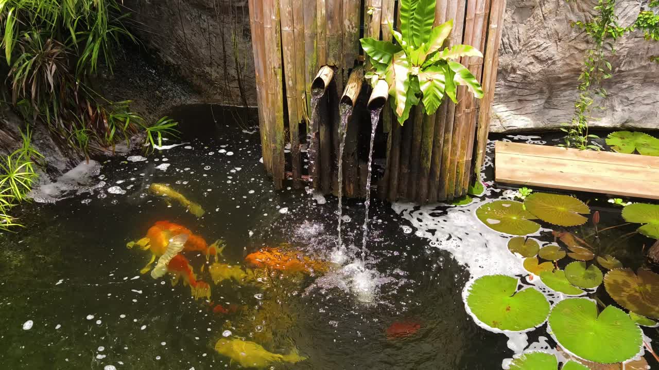 Beautiful Koi Pond with Waterfall Feature