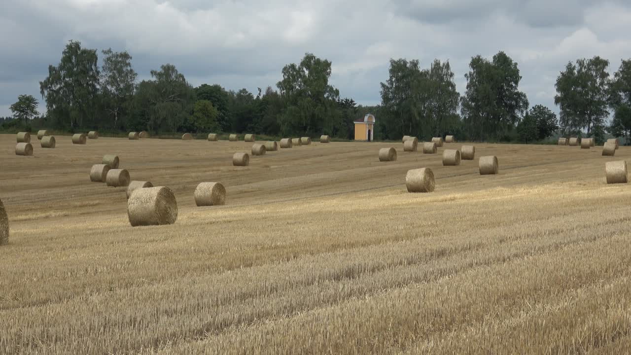 прекрасный пейзаж. сельскохозяйственное поле. круглые пучки соломы в поле.