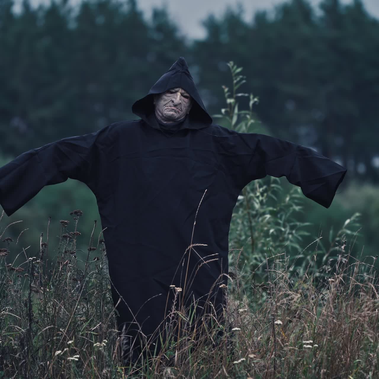 Portrait of ghost with outstretched arms in nature. Scary figure of death in black robe in the field. Horror face of a devil in hood.