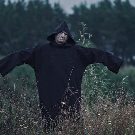 portrait of ghost with outstretched arms in nature. scary figure of death in black robe in the field. horror face of a devil in hood.