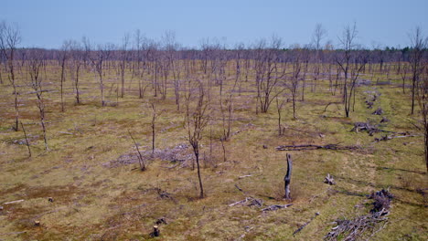 drone video flying over a large wildfire aftermath.