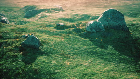 prado alpino con rocas y hierba verde
