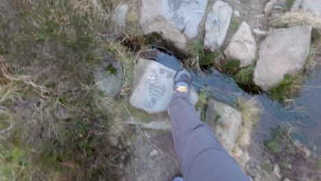 toma de mano de un hombre caminando por el pequeño sendero desigual de las yeguas grises