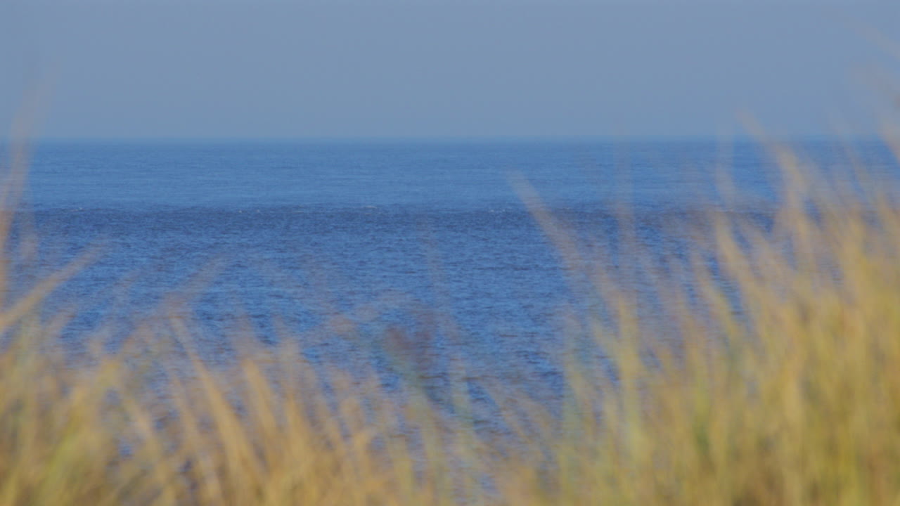 mid shot of out of Focus Marram grass with sea in background at Caister on Sea beach