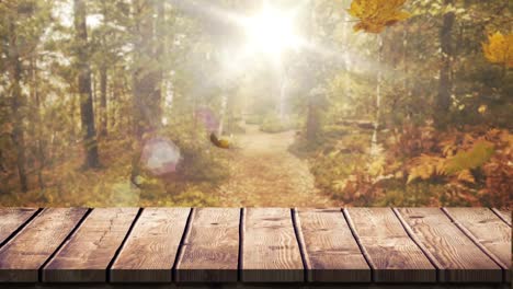 wooden plank against autumn leaves 4k