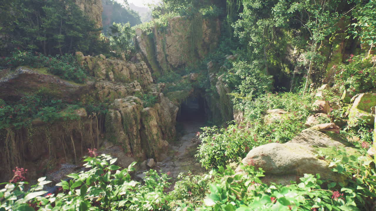 울창한 정글에서 숨겨진 길