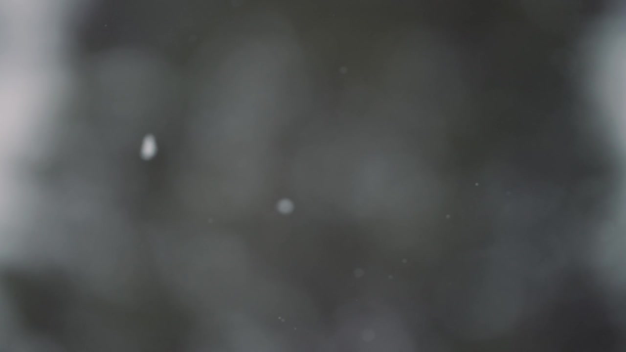 Snowflakes Falling in Slow Motion with Blurred Winter Background