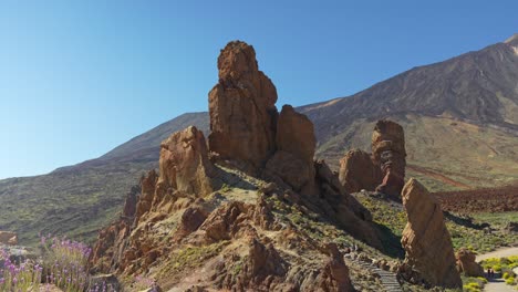 Landscape of Teide national park with blooming wallflowers and Roque Cinchado
