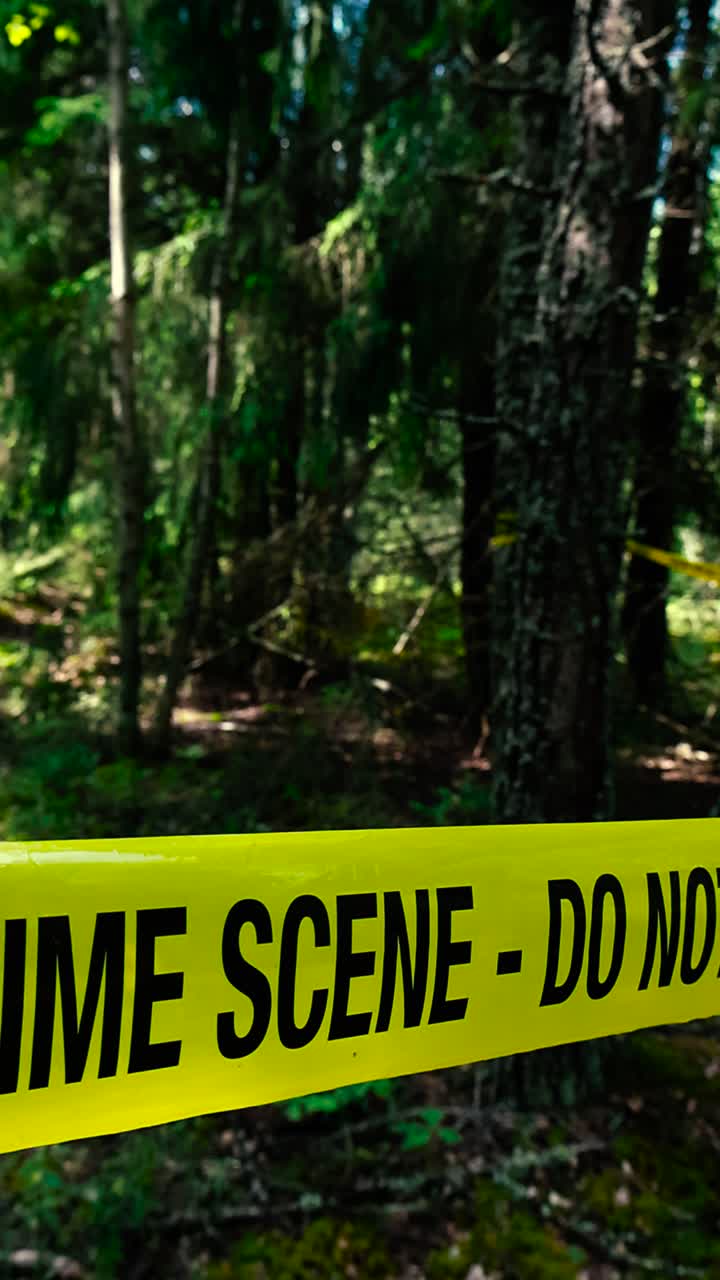 Gorgeous close up vertical footage of a yellow crime scene tape pulled in front of a forensics investigation area in a thick sunny forest. Background is blurry bokeh where pine trees are visible