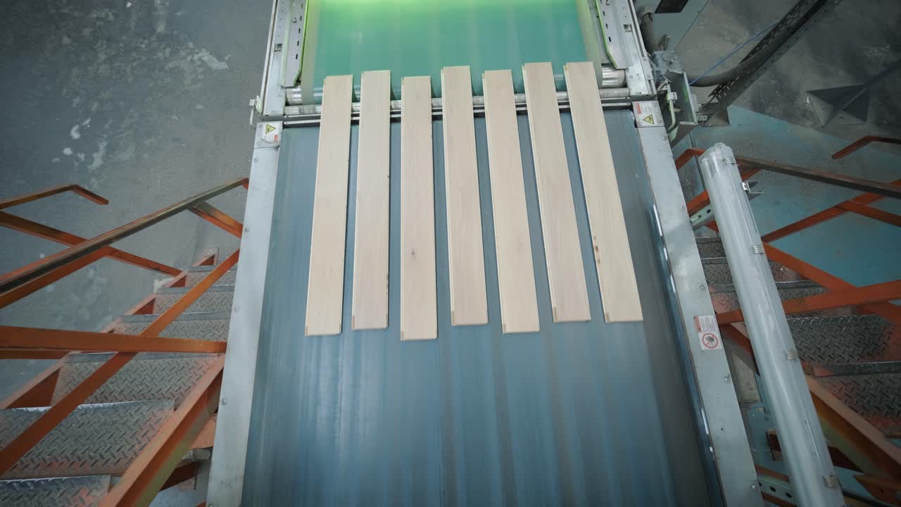 Wooden Planks Moving on Conveyor Belt in Factory
