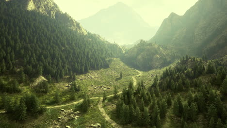 breathtaking mountain landscape with winding paths through lush greenery