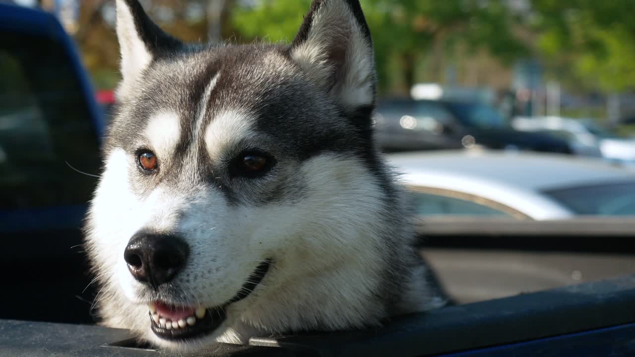 canada lake ontario summer water lakeshore toronto etobicoke water humber
