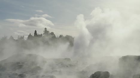 geothermal geyser erupting with steam and water surrounded by nature, rotorua, new zealand, slow motion iconic steamy rocky environment, sunny daytime sky