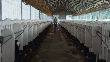 farm vet holding tablet computer walking along feedlots in countryside barn.