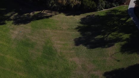 Tilt-Down-View-Over-Landscaped-Grass-Area-Of-Park