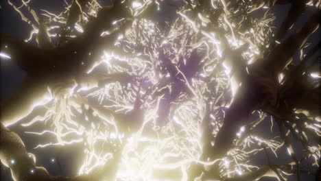 vibrant connections illuminate a network of neurons in stunning clarity
