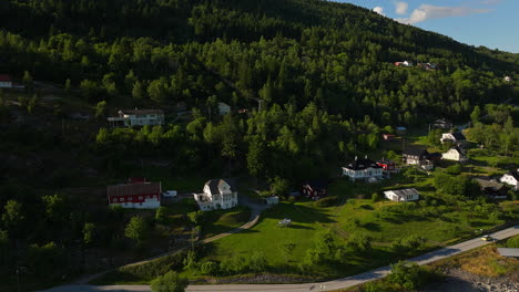 los coches conducen por la carretera debajo del hermoso y denso bosque de coníferas en el fiordo de lustra, noruega.