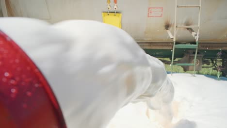 milk pouring into tanker