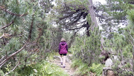 Moving-shot-following-a-girl-on-a-path-among-junipers-in-the-Retezat-mountains-of-Romania