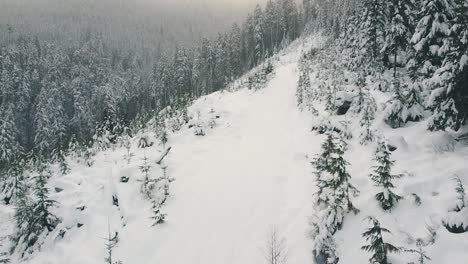 Aerial-Snowshoeing-towards-Sunset-on-Vancouver-Island,-Canada