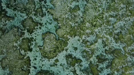 Rocky-Bottom-Of-Sea-Seen-Through-Crystal-Clear-Water