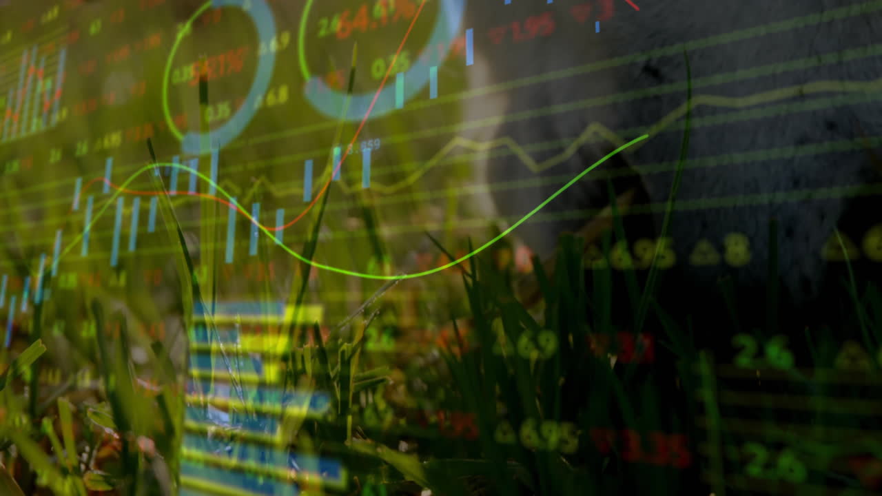 Grass blades growing from soil while green and red graphs, blue candlestick bars and data floating