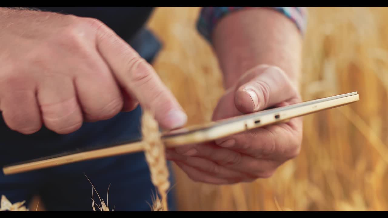 Agricoltore che ispeziona il raccolto di grano con un tablet