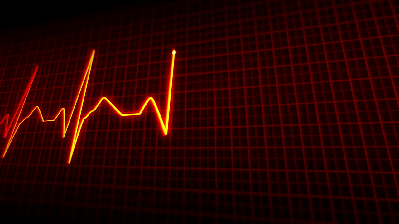 전기 심장 박동 애니메이션 (electrocardiogram heartbeat animation)