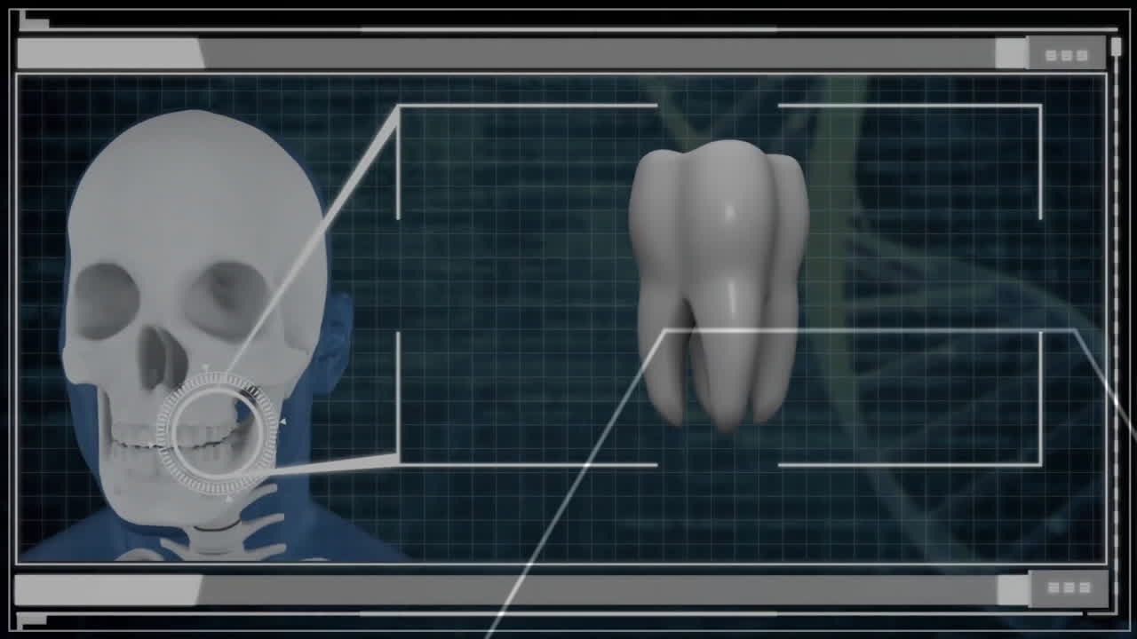 animación de examen del cráneo y los dientes humanos sobre el fondo de la cuadrícula científica