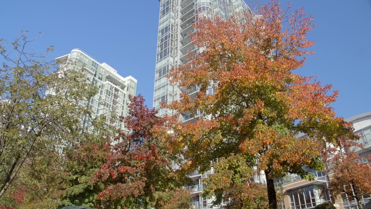 árboles de otoño con edificios de gran altura en el fondo en vancouver, columbia británica, canadá