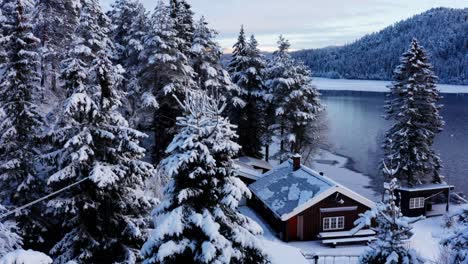 small cabin between the lakeshore and pine trees during winter