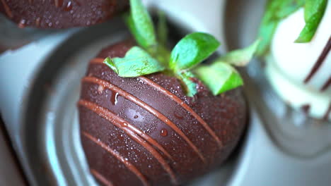 pan of freshly made strawberries dipped in chocolate - macro view showing moist droplets and fine detail