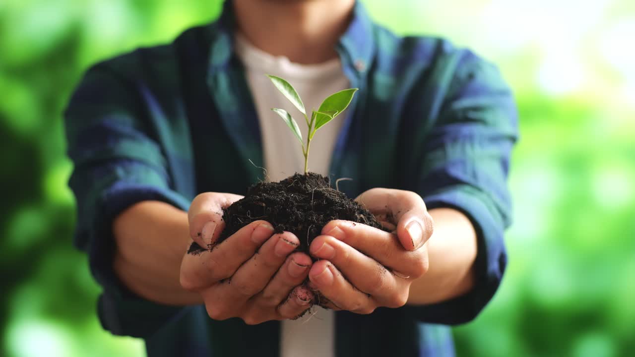 close-up de un granjero masculino que muestra barro de tierra negra con un brote de árbol en las manos a la cámara en el bosque