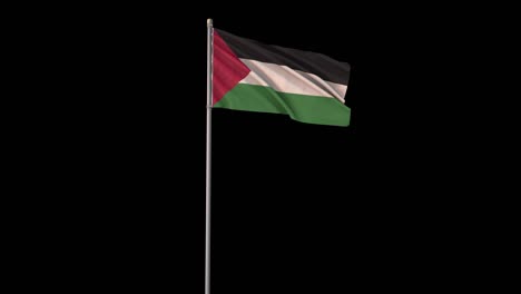 palestine flag with alpha channel, 4k video is transparent