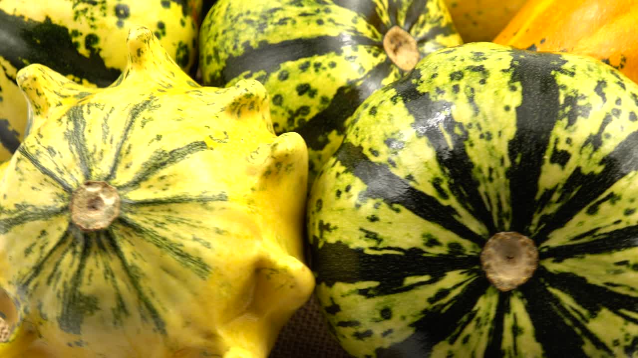 The yellow green little pumpkins lie on the board