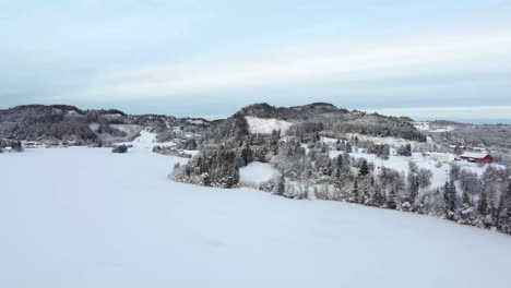 traverse the enchanting snow-laden forest, where every tree branch is delicately adorned with a pristine layer of snow, creating a magical atmosphere that transports you to a realm of tranquility