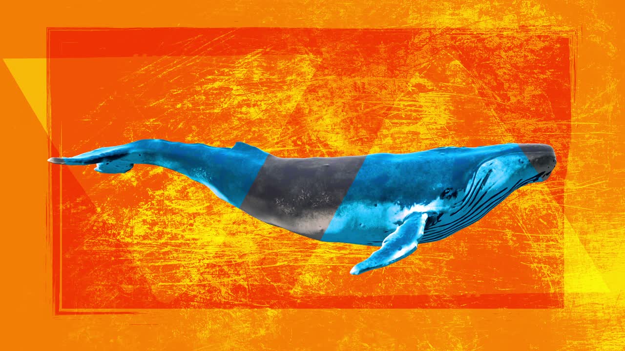 수영하는 파란 고래, 그룬지 드로우 모양의 추상 예술 개념, 현실적인 3d 캐릭터 동물, 크리에이티브 스 모션 스타일의 배경, 그래픽 다채로운 디자인, 만화 패션 루프 애니메이션.