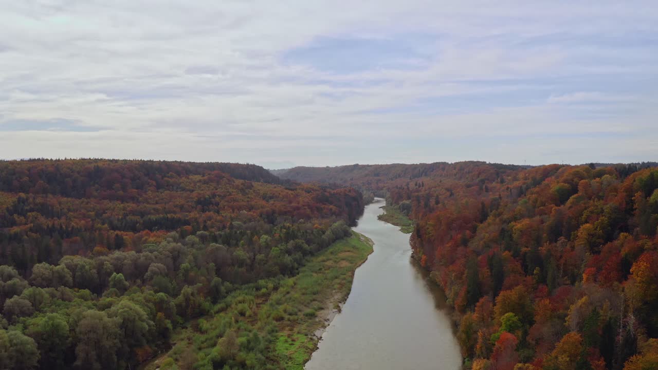 Volo lento di drone sul fiume Isar circondato dalle meravigliose chiome autunnali di una foresta: Ripresa con drone in 4K nella Baviera meridionale, Germania.