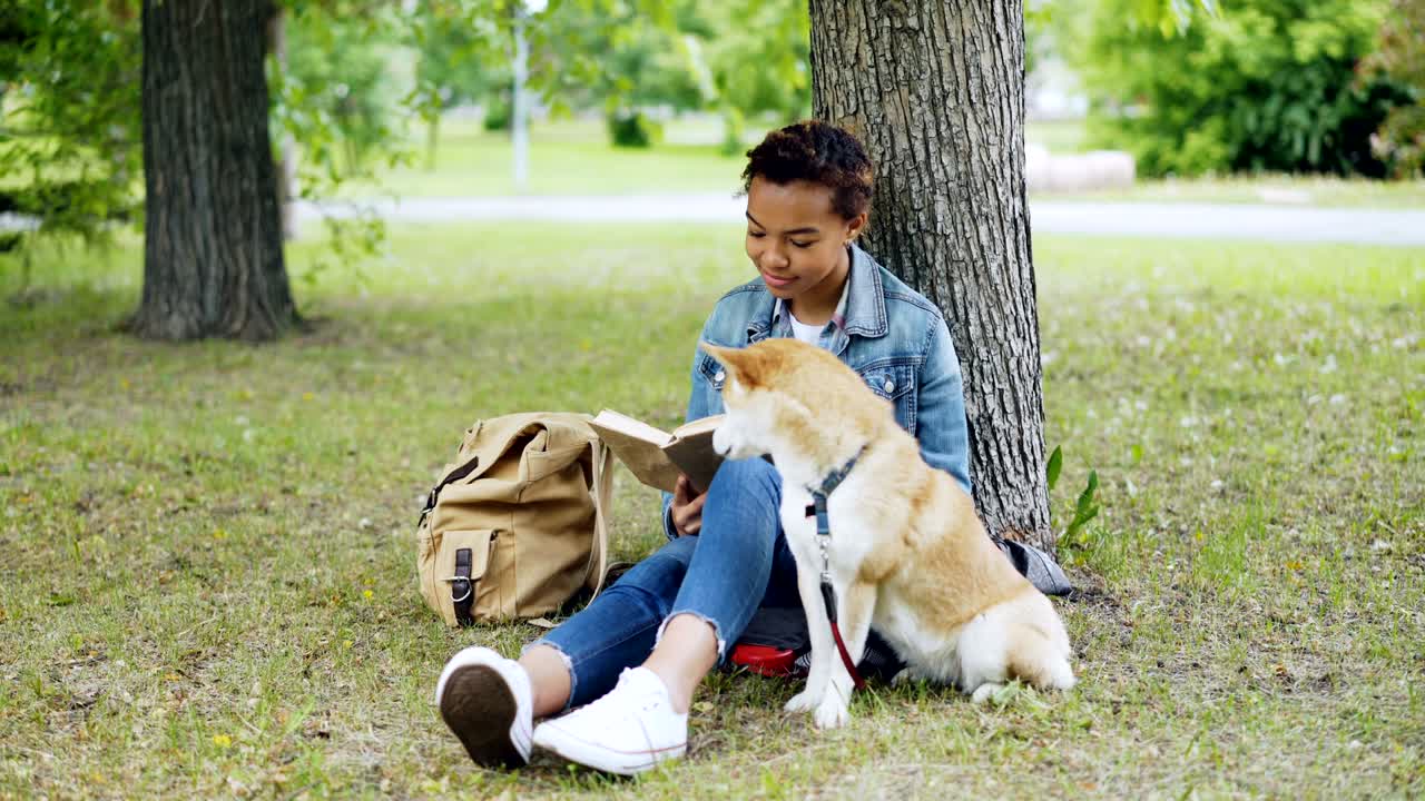 """아름다운 아프리카계 미국인 여자 학생이 공원에서 잔디에 앉아 책을 읽고 있으며, 그녀의 잘 키운 개는 그녀의 에 어서 공기를 새를 맡고 주변을 둘러보고 있습니다."""