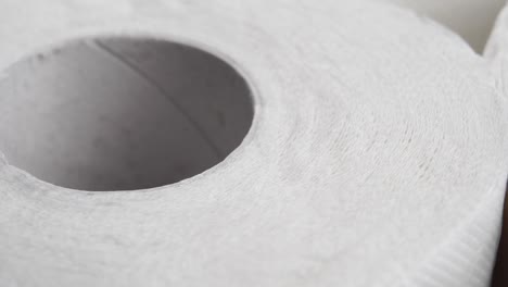 roll toilet paper. soft hygienic clean rolled towels. round textured form. macro