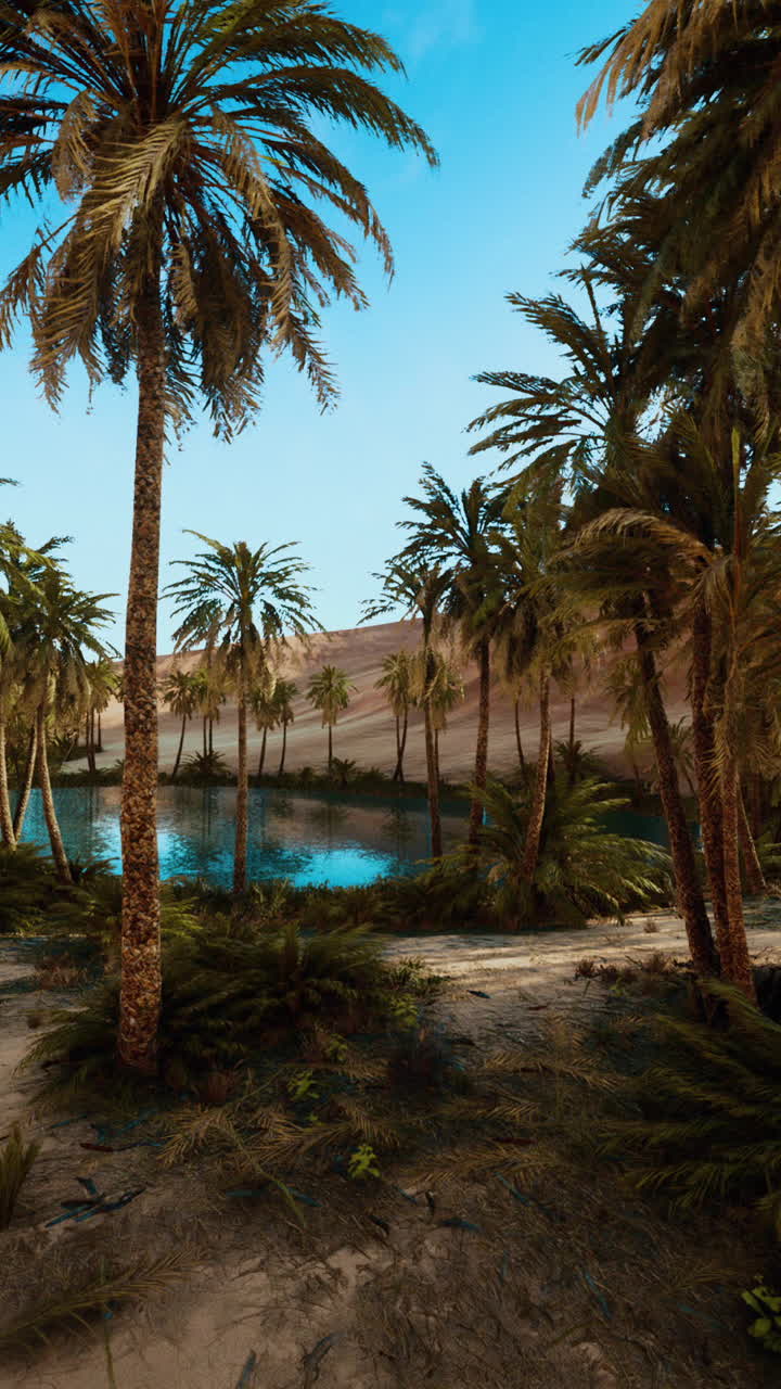 Peaceful Desert Oasis with Palm Trees and Blue Sky